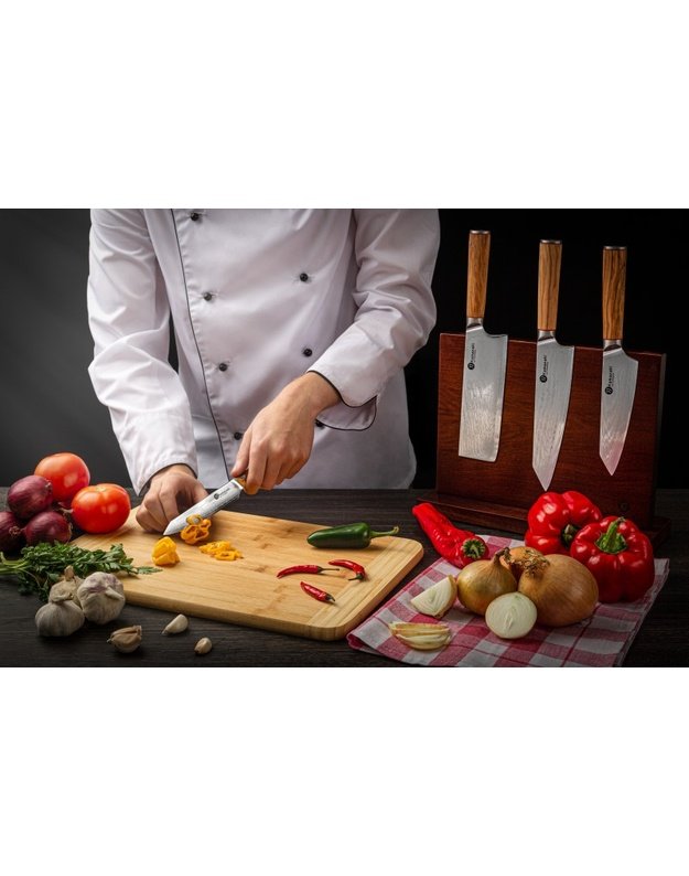 Damasko plieno peilių rinkinys su stovu KAMAZAKI KZI003SET