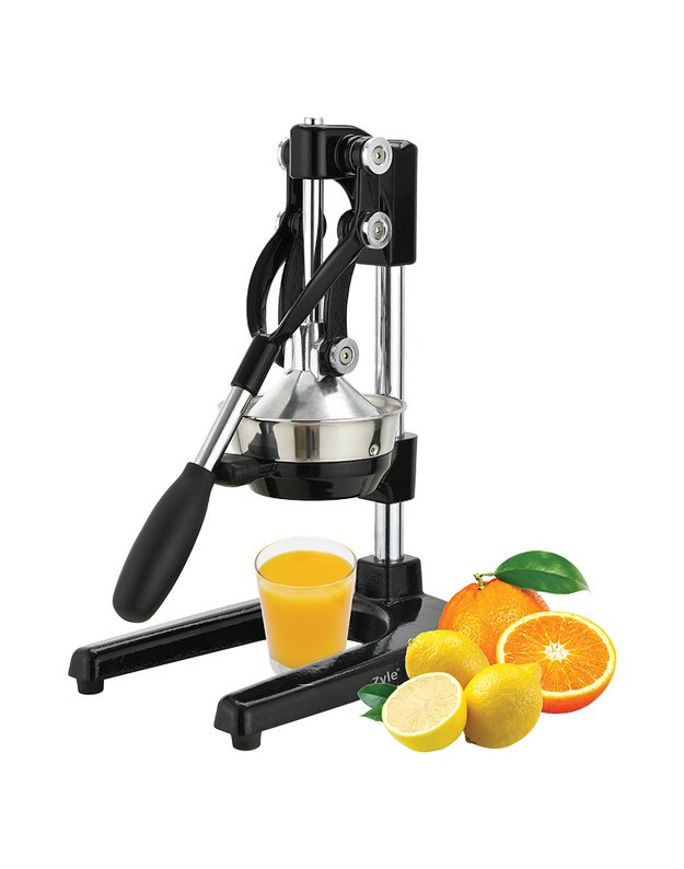 Profesionali citrus. vaisių sulčiaspaudė, ZY5029BCJ