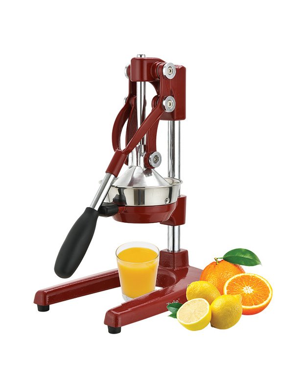 Profesionali citrus. vaisių sulčiaspaudė, ZY5029RCJ