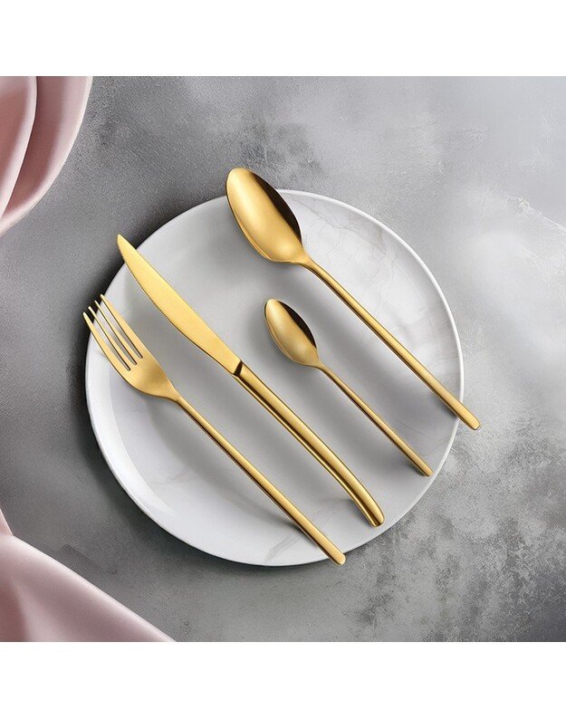 Stalo įrankių rinkinys Zyle ZY776GCS 24 vnt., veidrodinės aukso spalvos 2