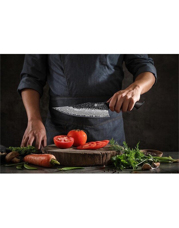 Damasko plieno peilis Kamazaki Chef Knife, KZ50KN, 22 cm, NEMOKAMAS PRISTATYMAS! 5