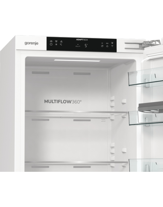 Šaldytuvai Gorenje RI517E62WF 2