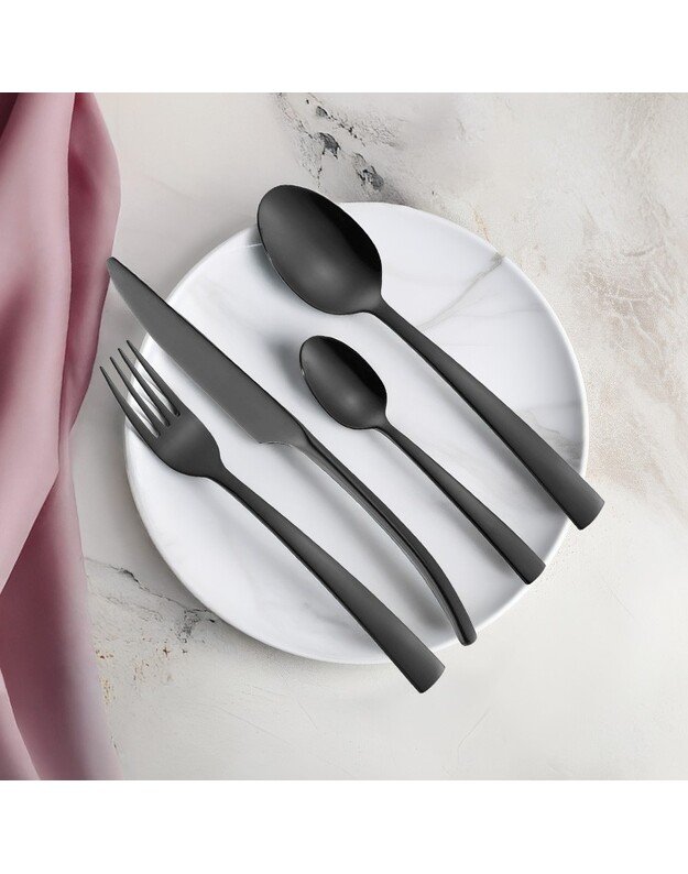 Stalo įrankių rinkinys Zyle ZY692BCS 24 vnt., veidrodinės juodos spalvos 2