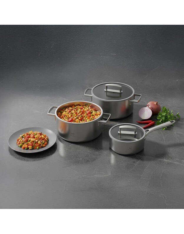 Nerūdijančio plieno puodų rinkinys Zyle Prestige ZY1700PS, 3 vnt. 1