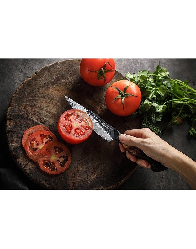 Damasko plieno peilis Kamazak Utility Knife, KZ48KN, 14 cm, NEMOKAMAS PRISTATYMAS! 1